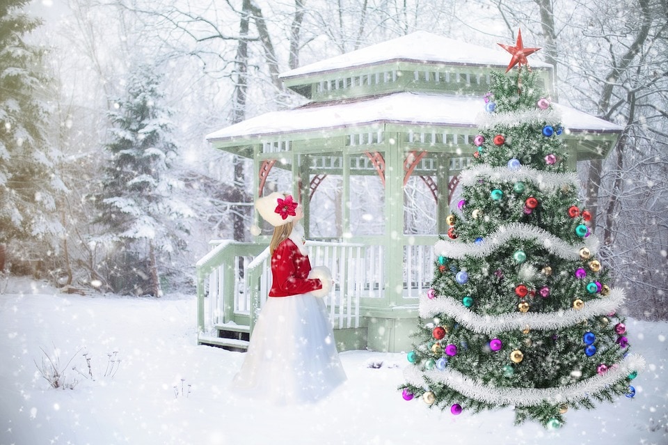 Best Christmas backdrop ideas