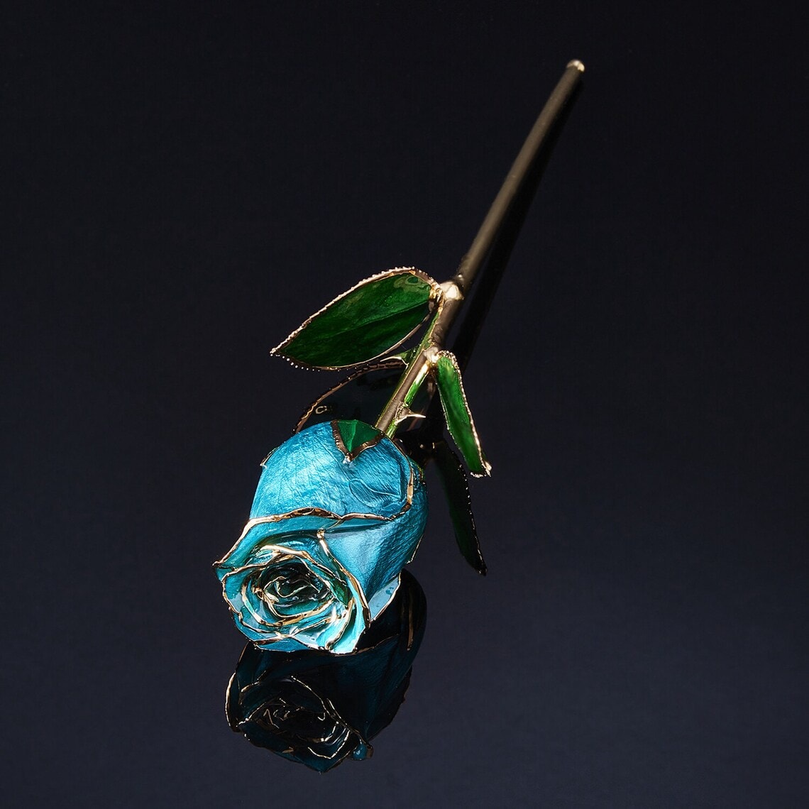 blue rose with gold tips 