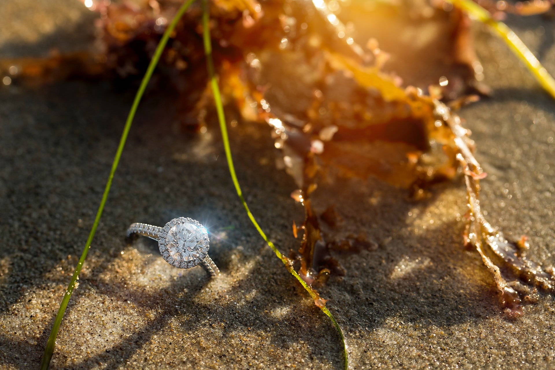 sparkling diamond on sunny background