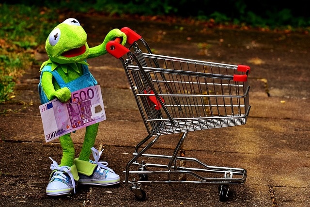 frog standing with shopping trolley and money