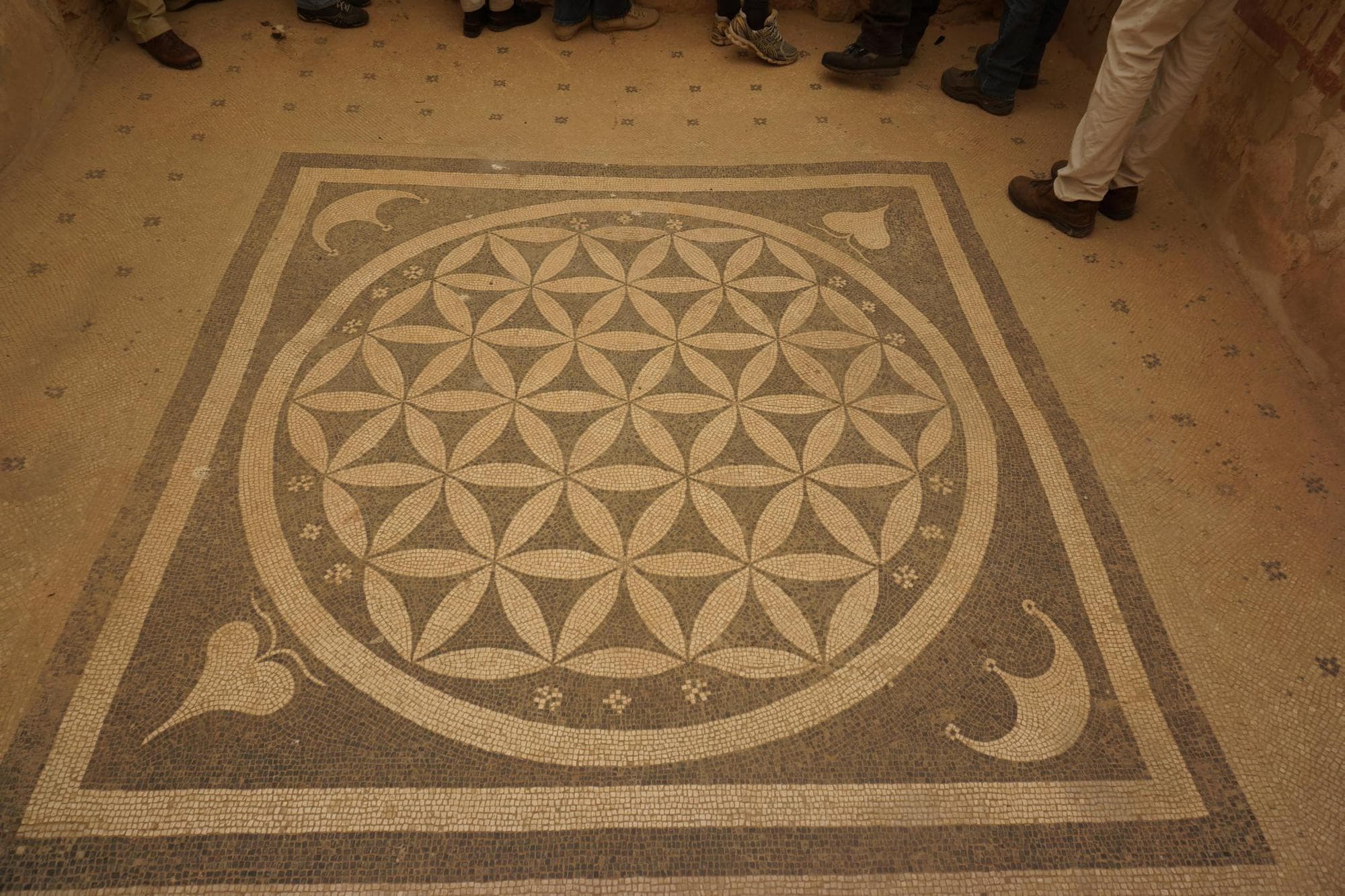Flower of life in Turkey