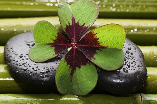 four leaf clover-bamboo waterdrop