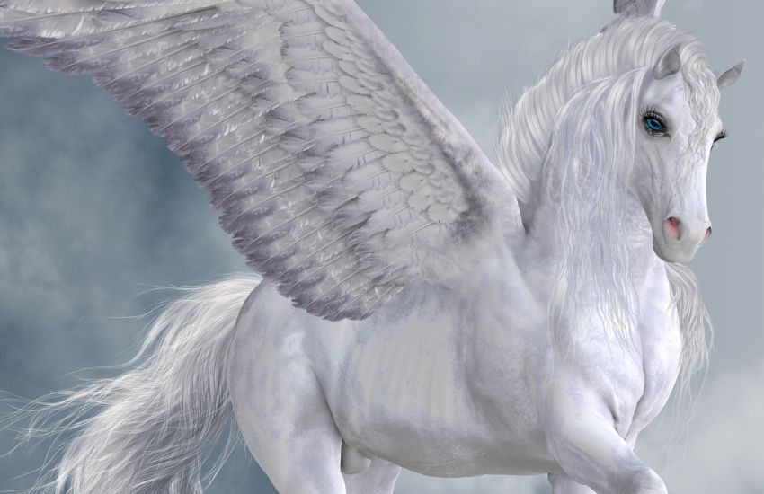 pegasus