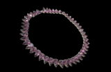Rivière Necklace: Everything You Have to Know