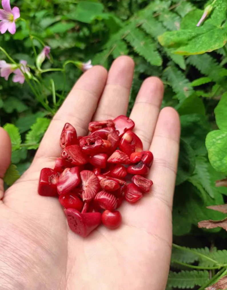Red Coral Stone