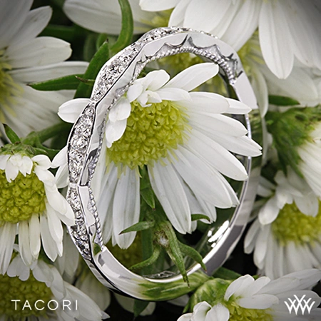 half eternity ribbon diamond wedding ring